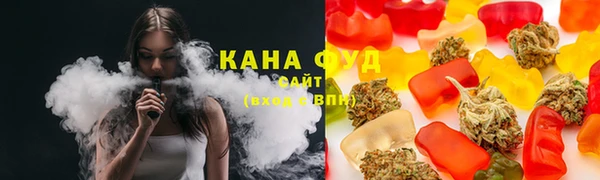 дмт Алзамай