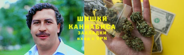 дмт Алзамай
