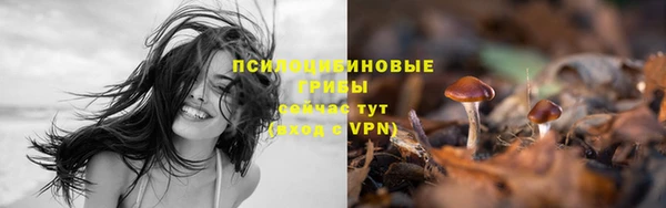 стафф Алексеевка