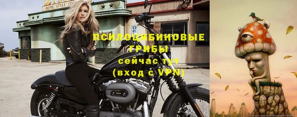дмт Алзамай
