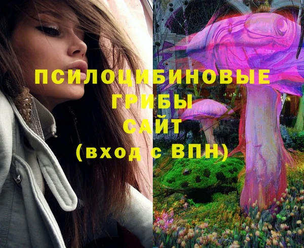 стафф Алексеевка