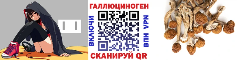 сколько стоит  Плавск  Галлюциногенные грибы мухоморы 