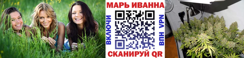 Конопля сатива  где можно купить   Плавск 